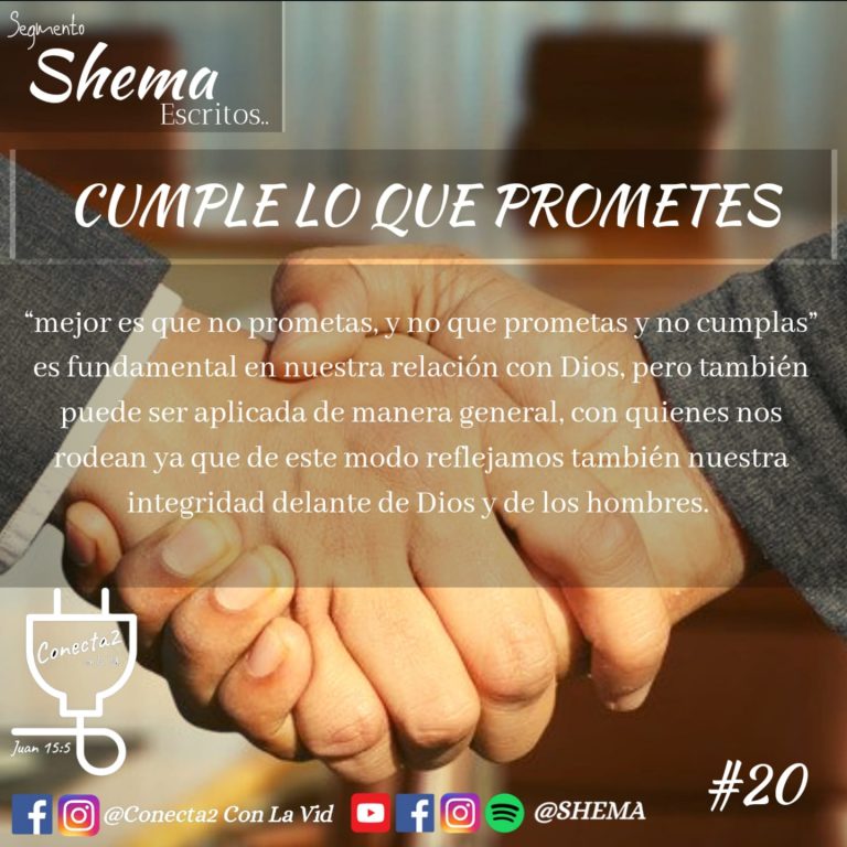 Cumple lo que promete: El estándar definitivo