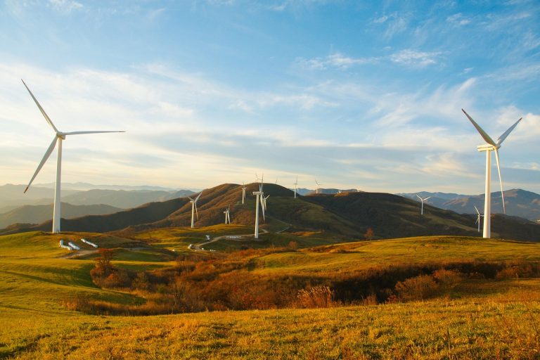 Medio ambiente