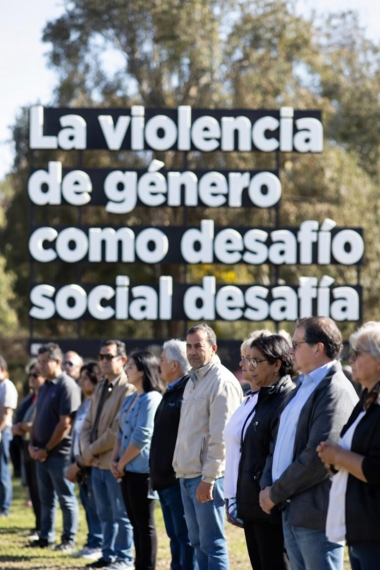 La violencia de género como desafío social